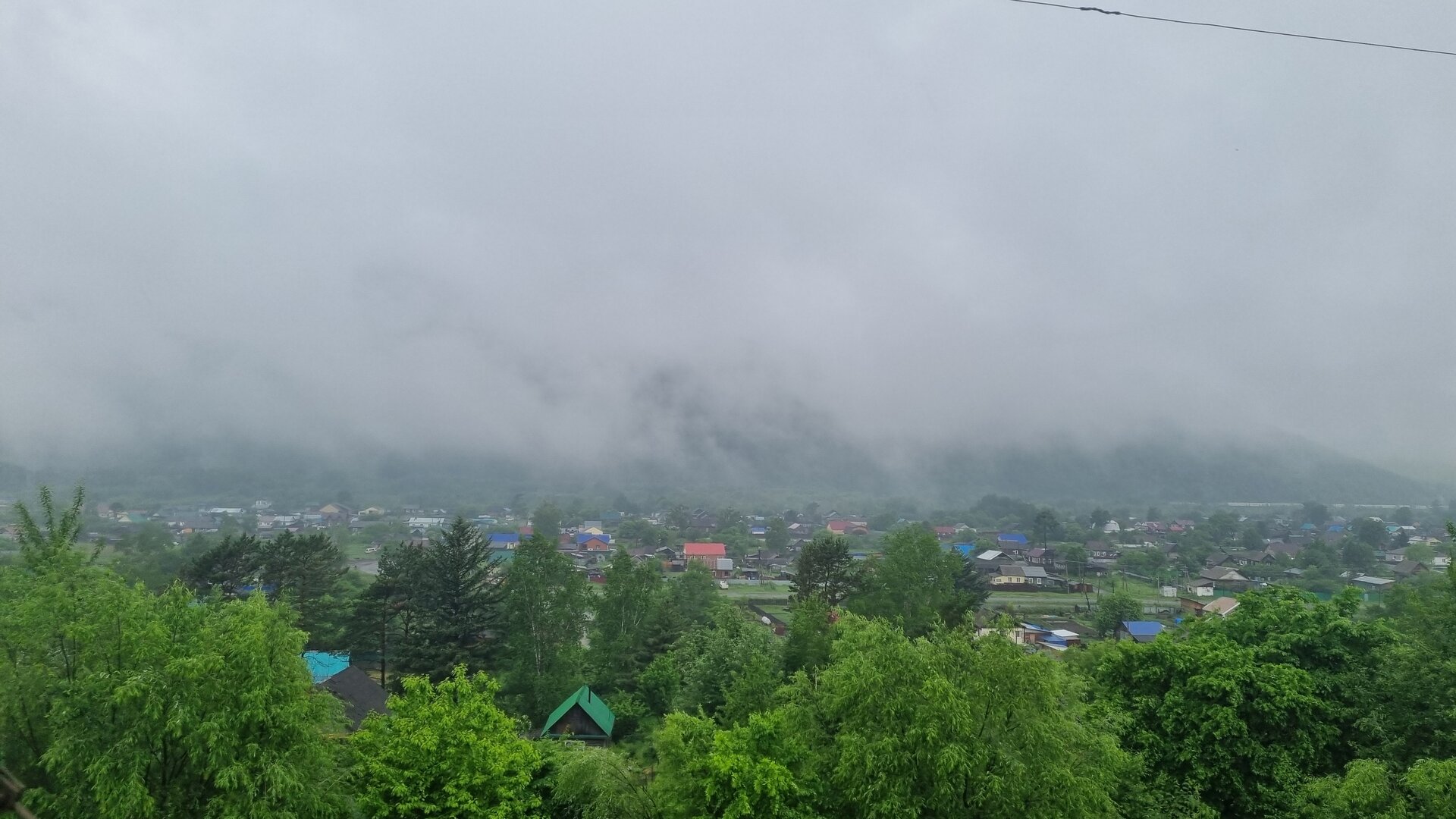20250614_113704.jpg