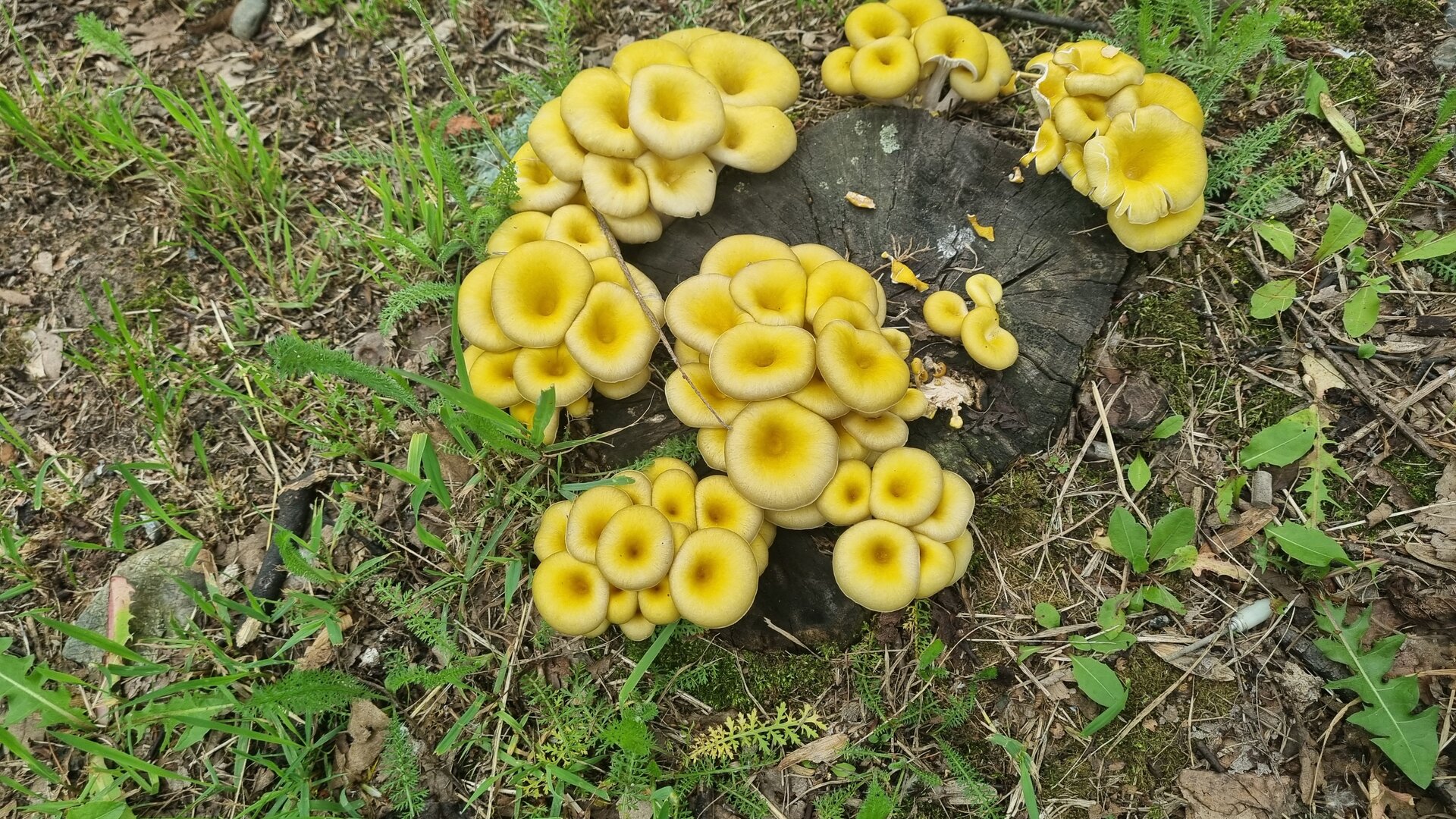 20250622_164342.jpg