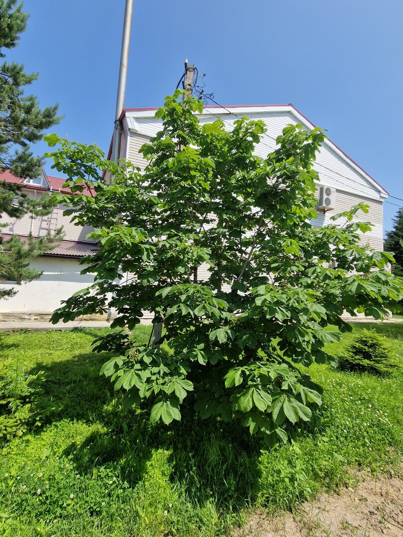 20250623_144418.jpg