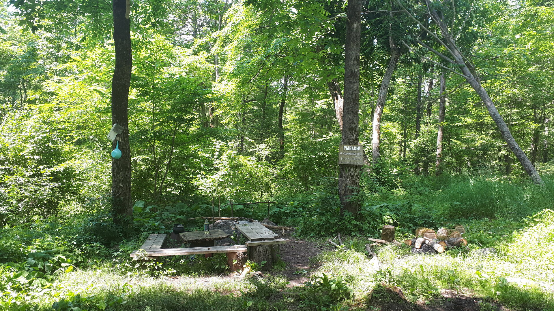 20250624_124927.jpg