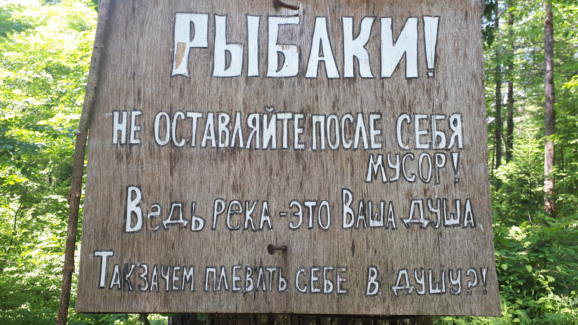 20250624_124941.jpg