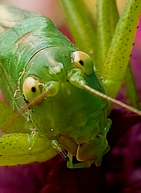 20250713_111544.jpg
