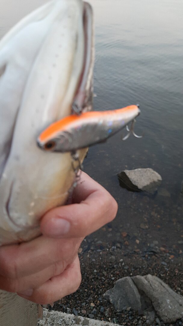 20250716_051436.jpg