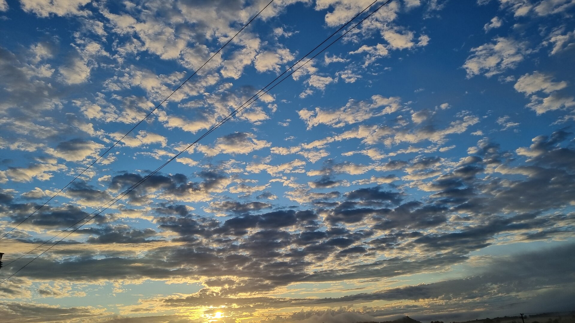 20250809_062518.jpg