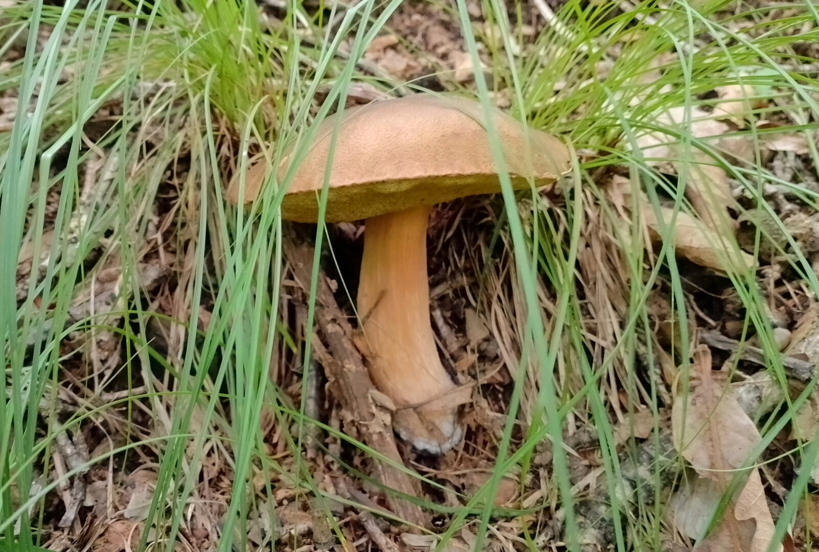 20250810_182650471.jpg
