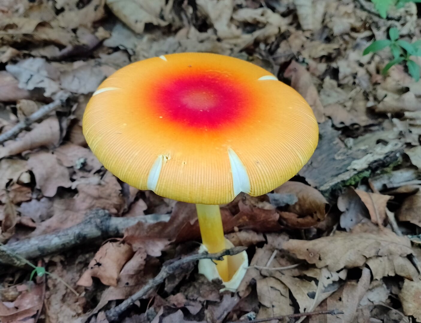 20250810_182749651.jpg