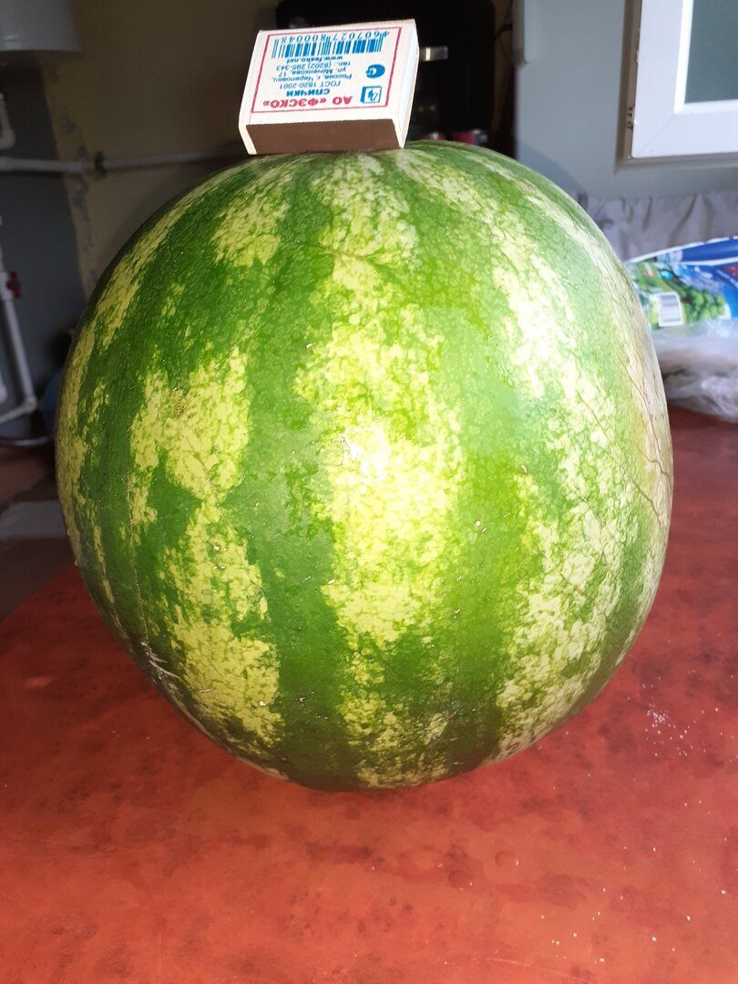 20250815_181245.jpg