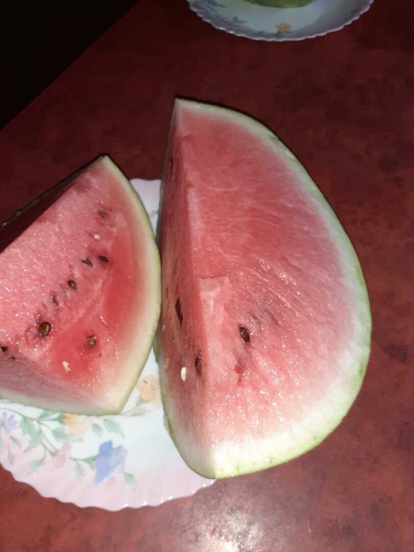 20250815_182916.jpg