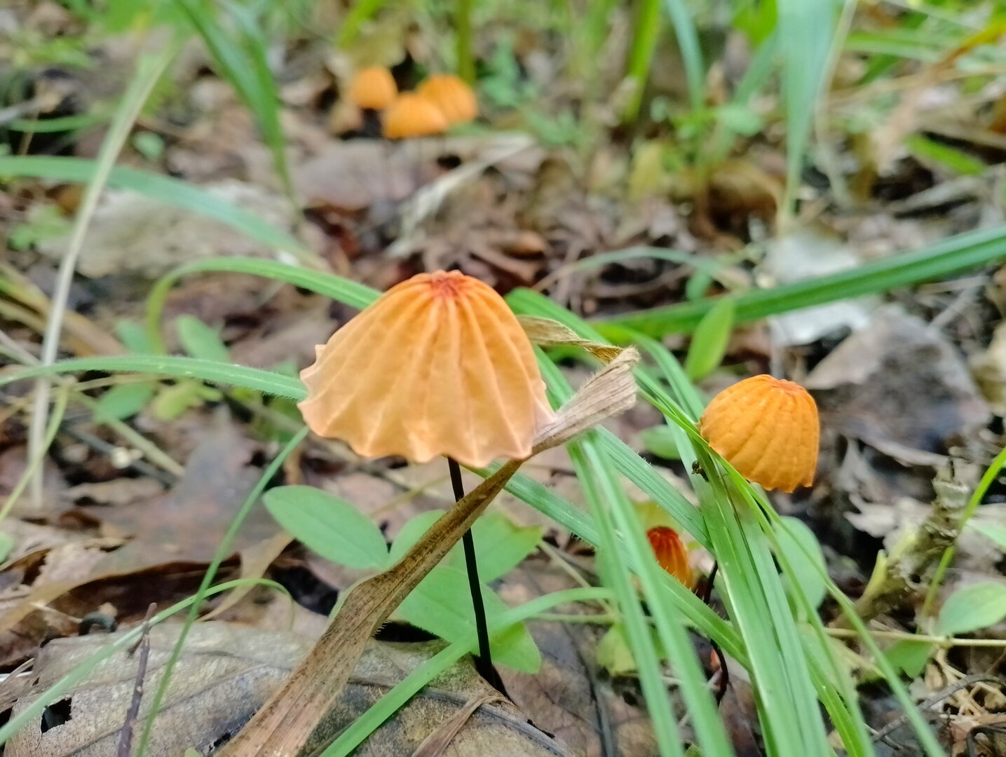 20250818_125522163.jpg