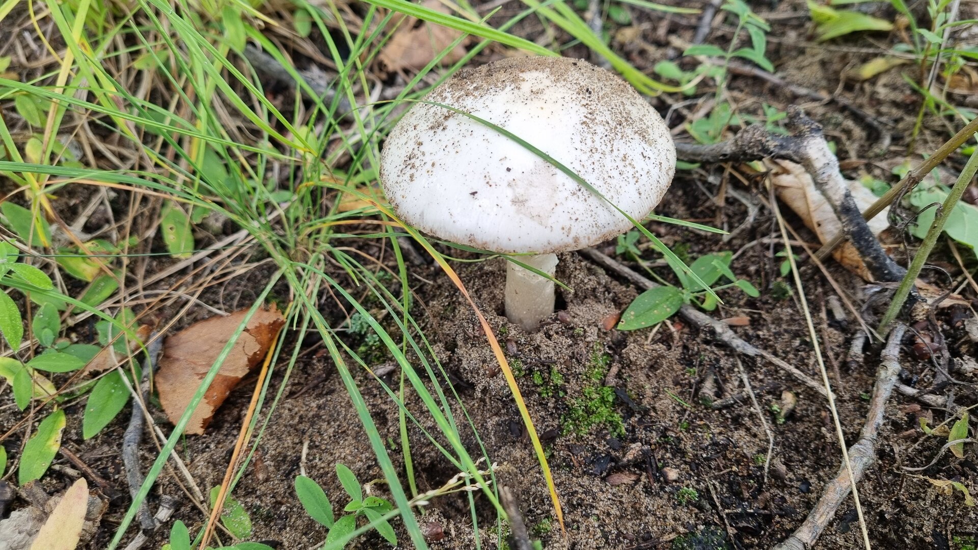 20250823_134700.jpg