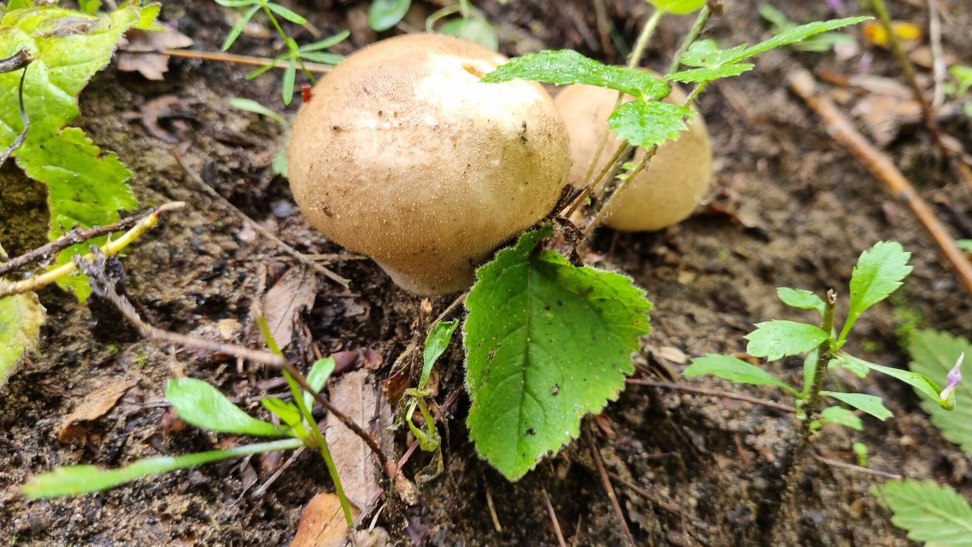 20250823_134740.jpg