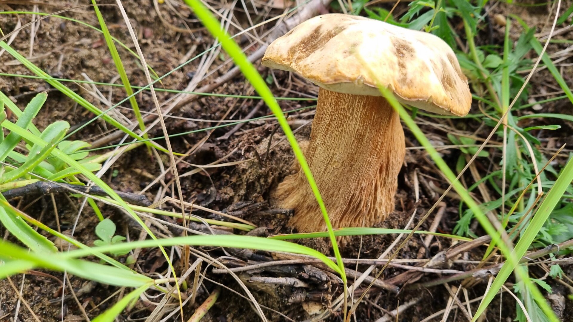 20250823_134910.jpg