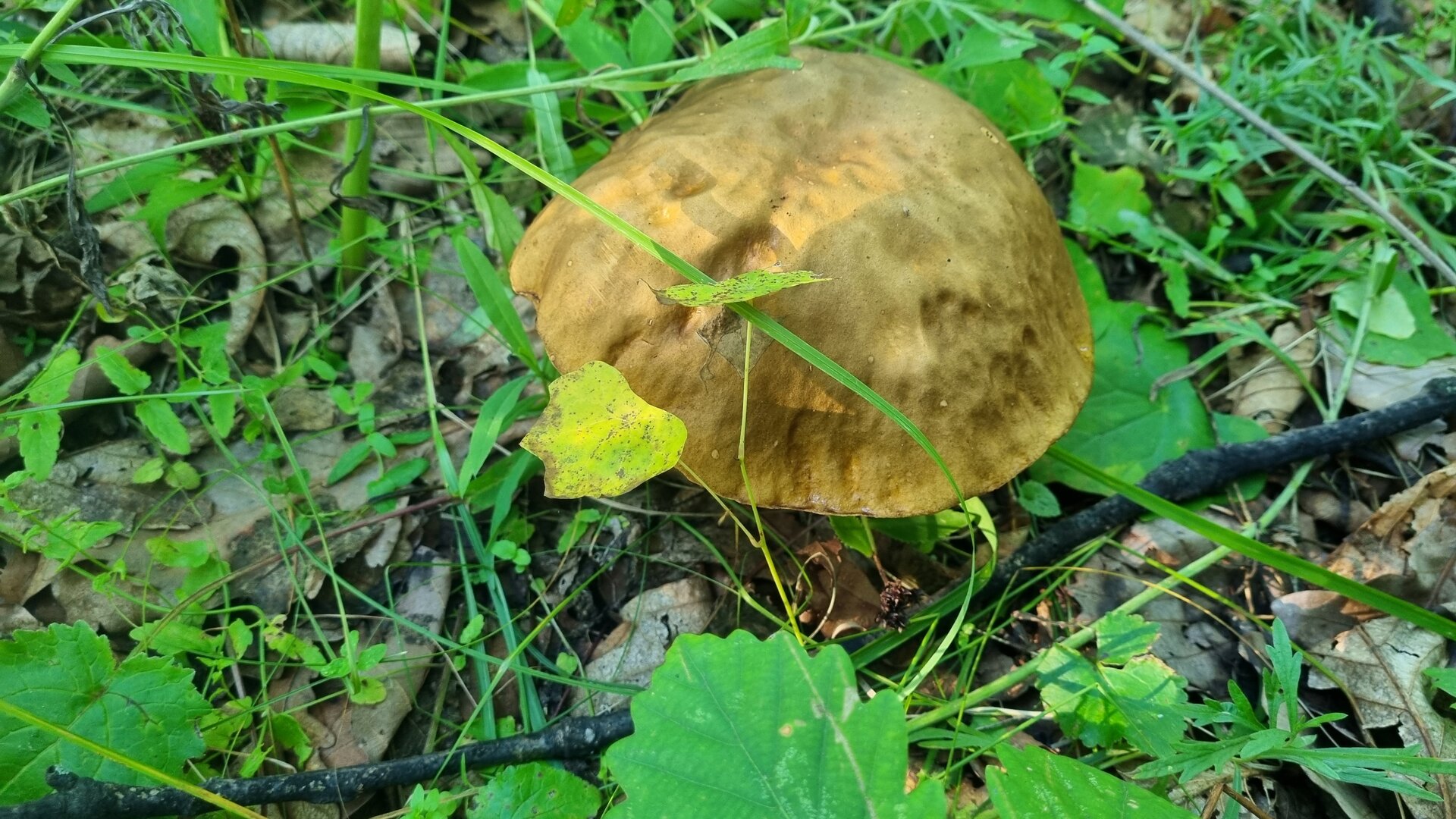 20250823_181311.jpg