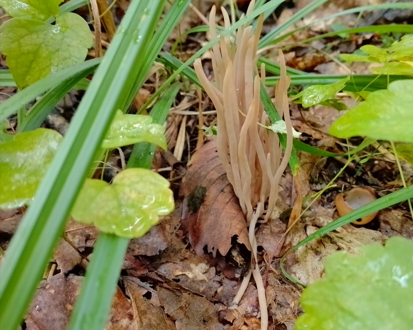 20250823_191024681.jpg