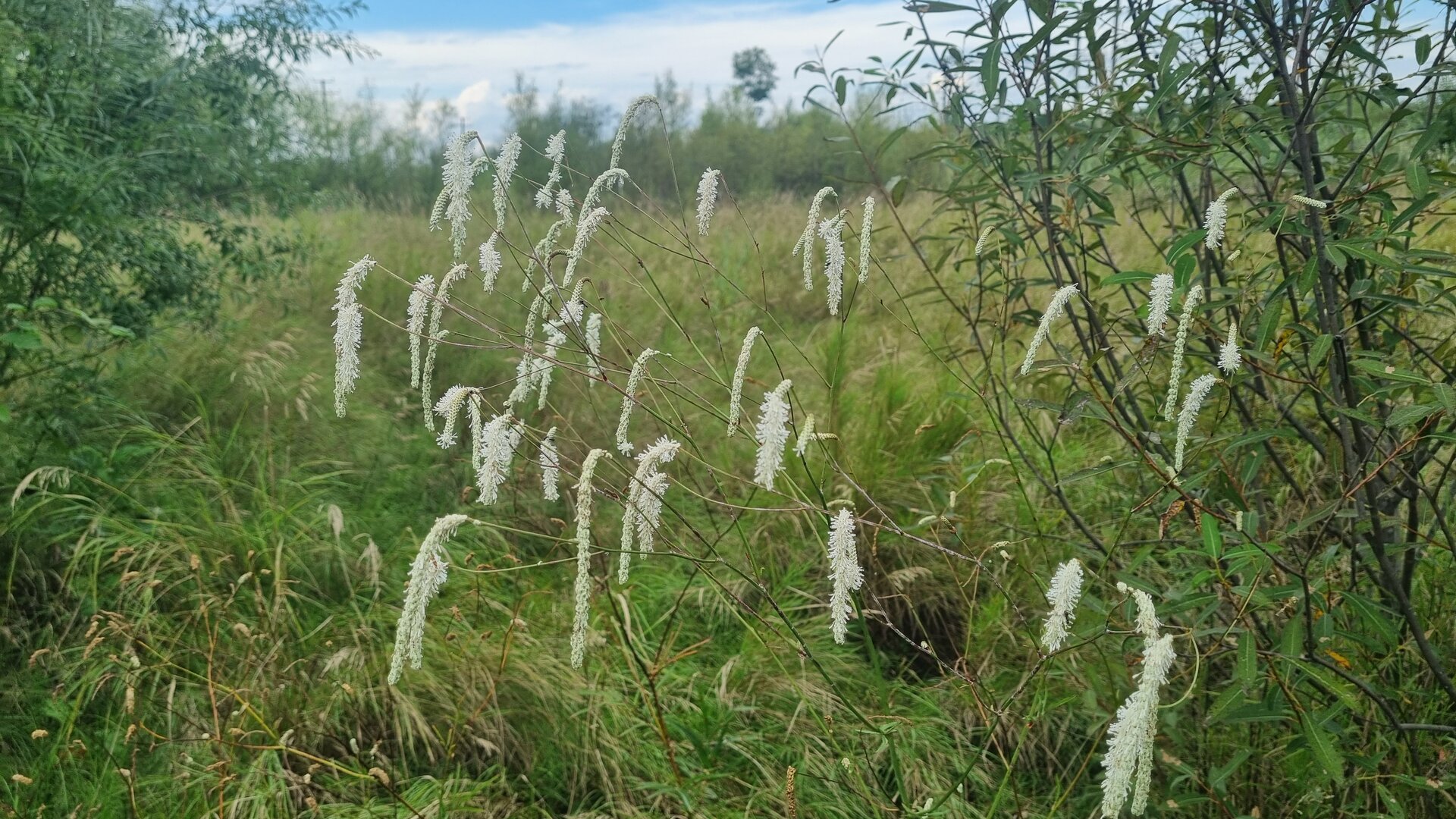 20250901_155846.jpg