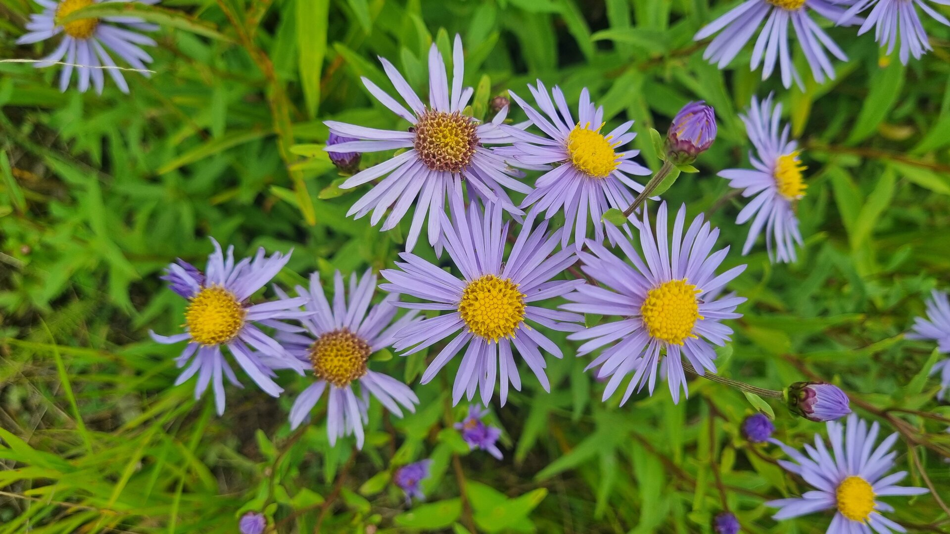 20250901_155953.jpg