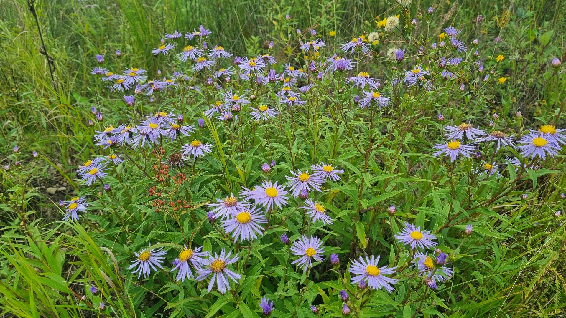 20250901_160003.jpg