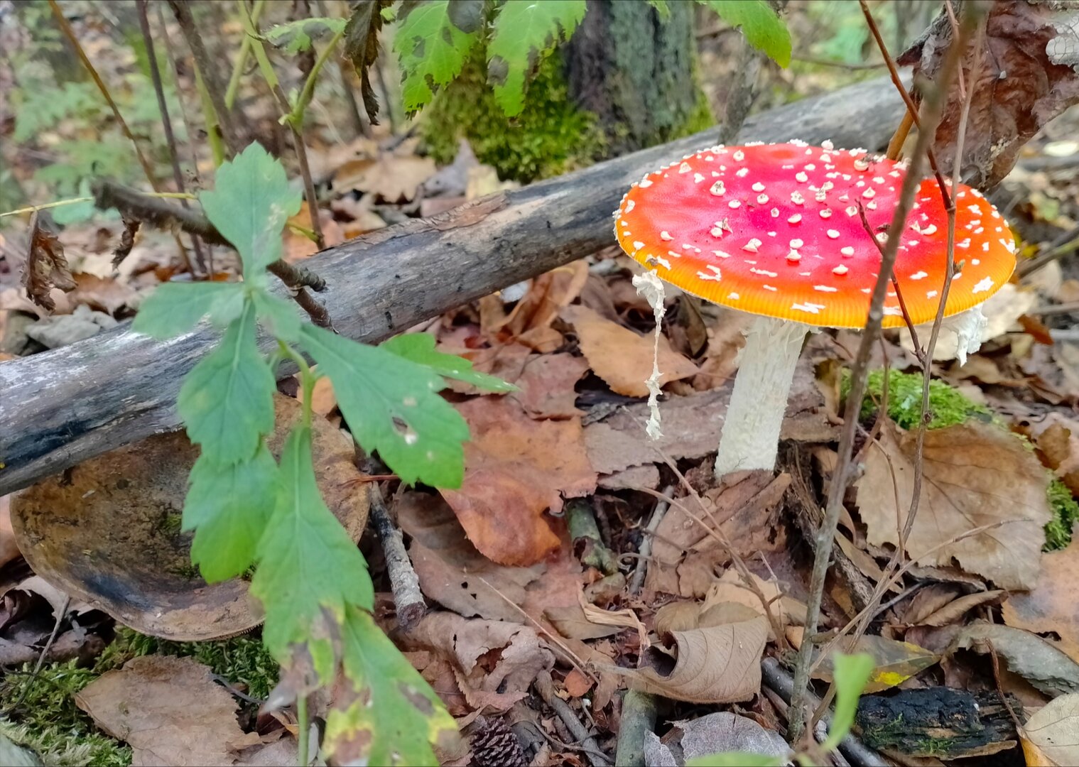 20250906_144008232.jpg