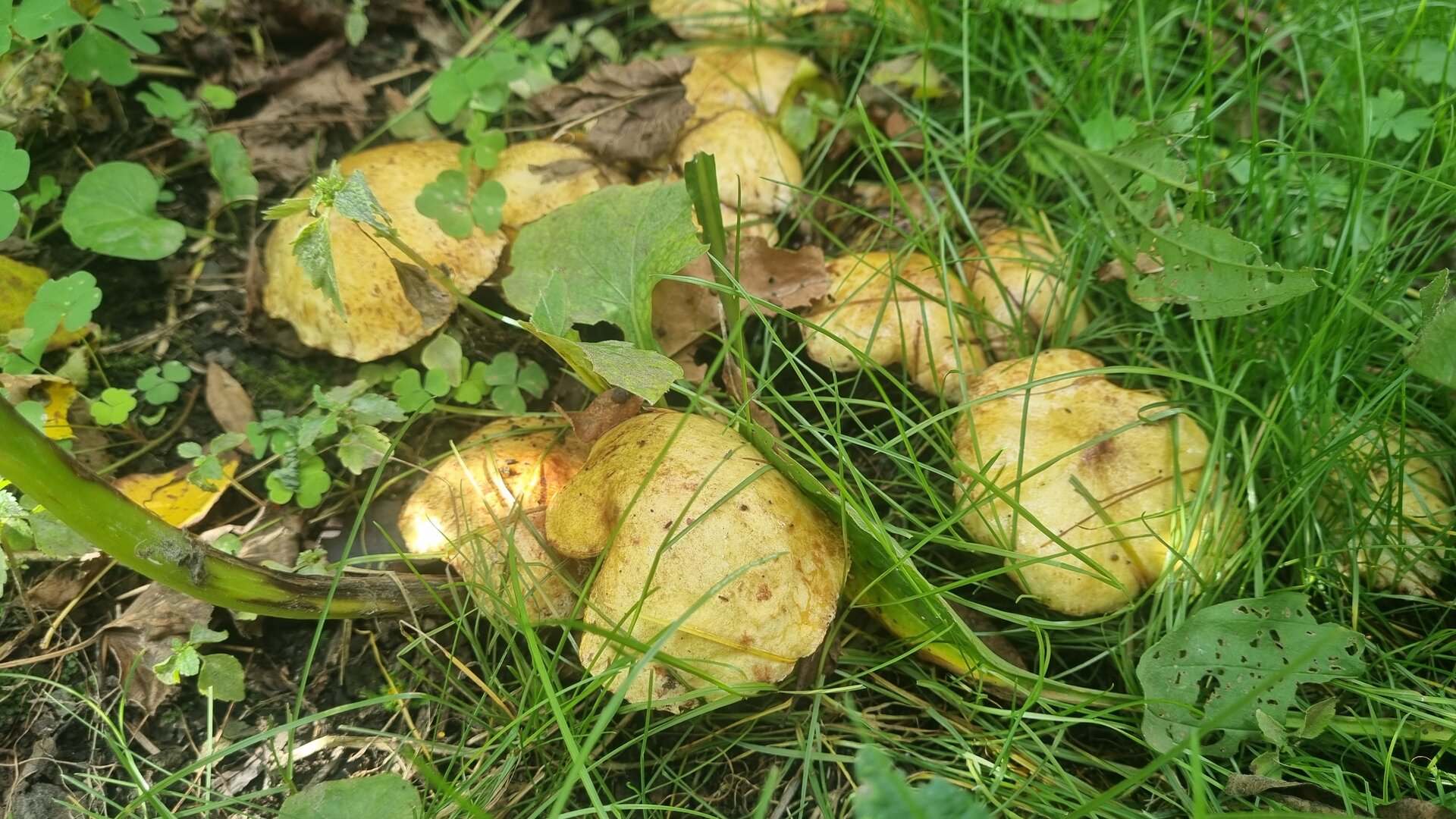 20250908_152834.jpg