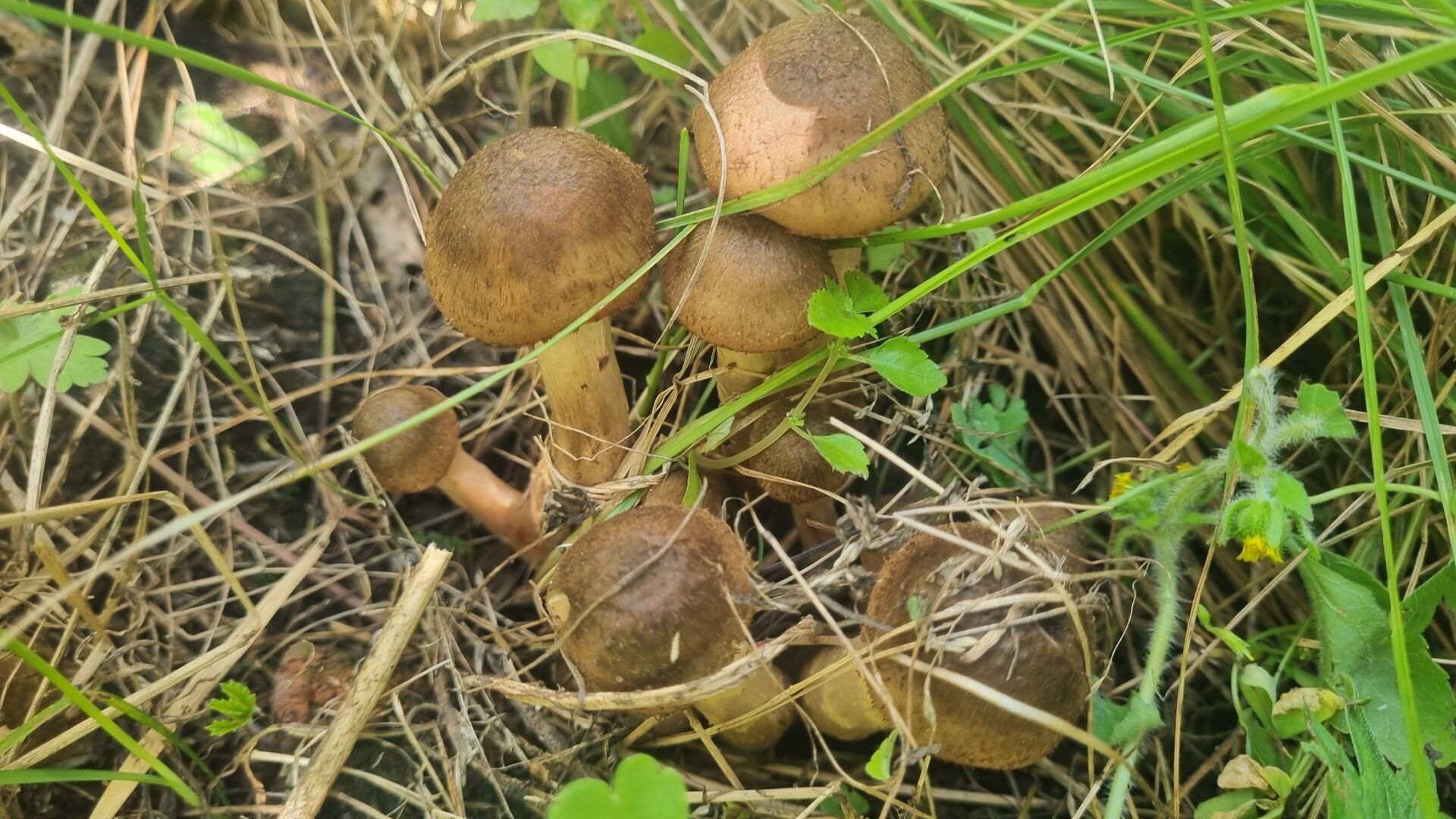 20250908_152940.jpg