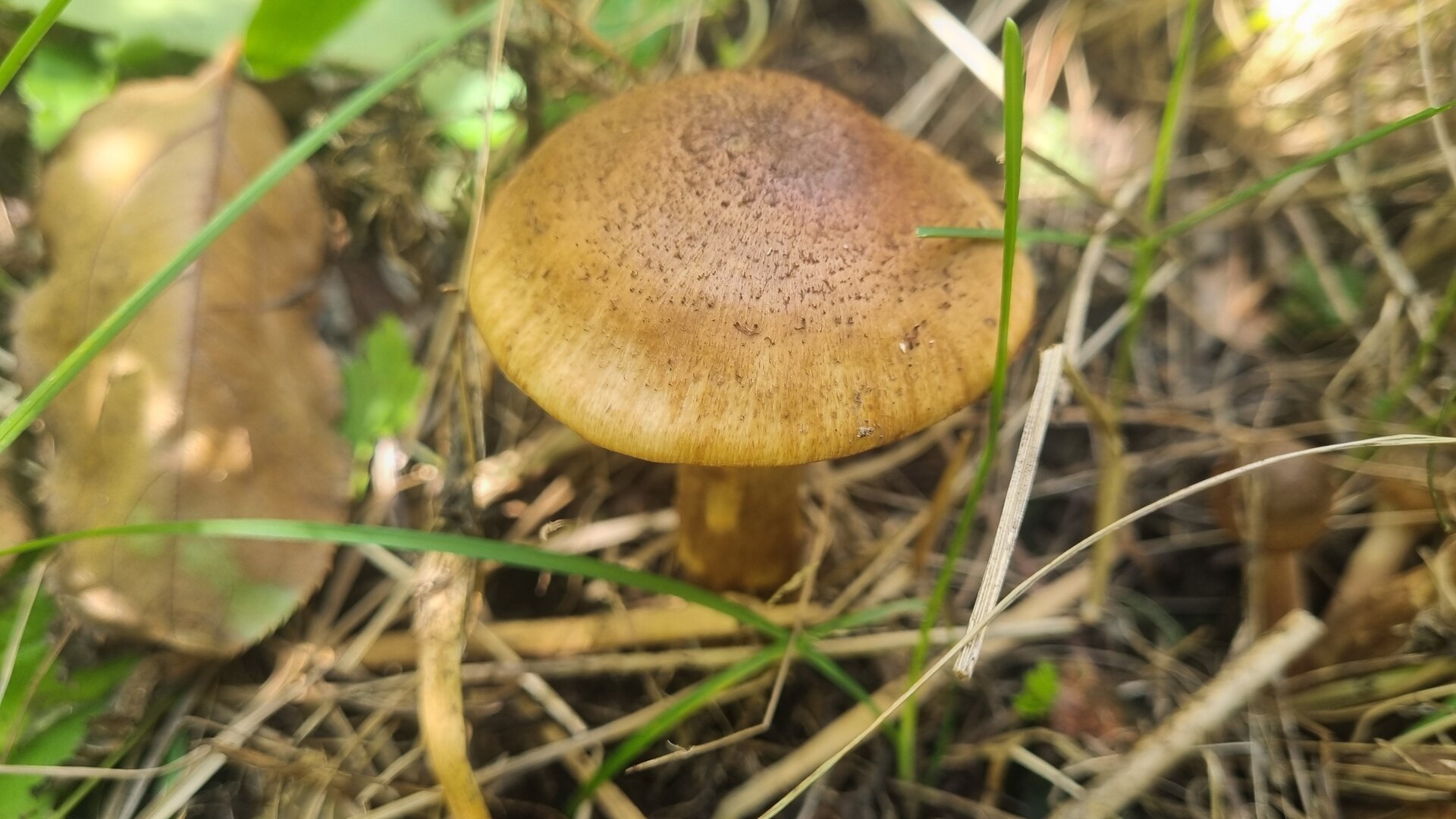 20250908_152944.jpg