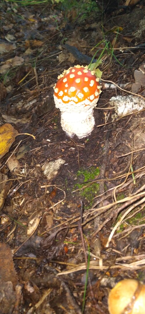 20250909_091252.jpg