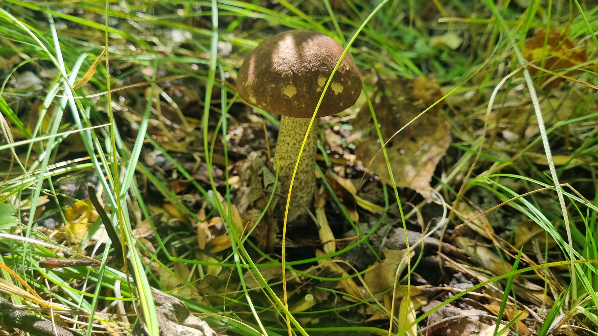 20250913_125900.jpg
