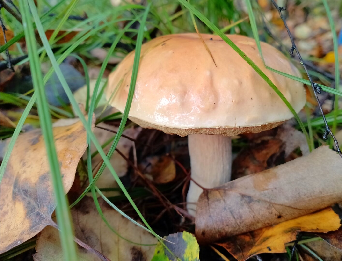 20250913_150314068.jpg