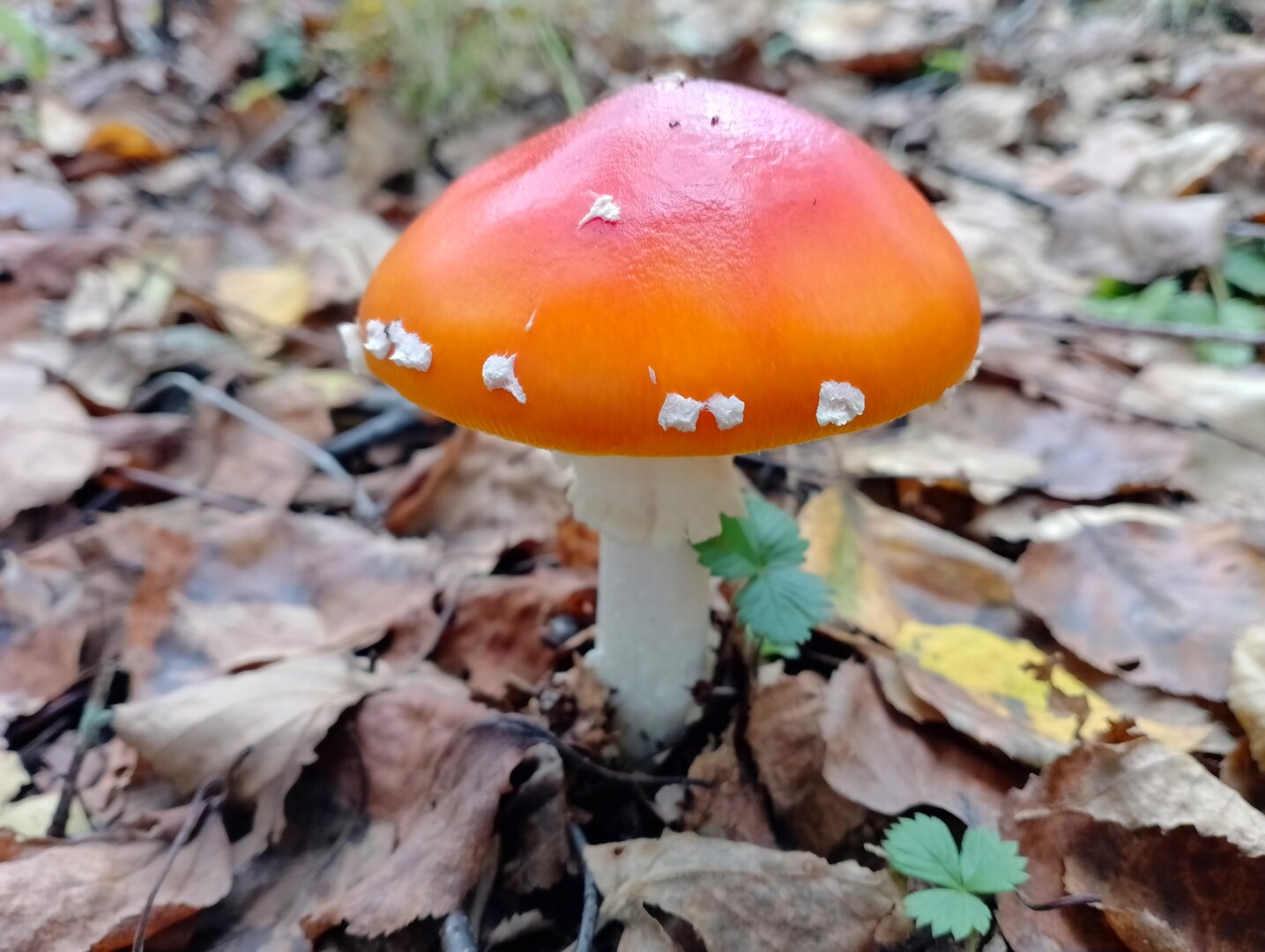 20250913_151827451.jpg
