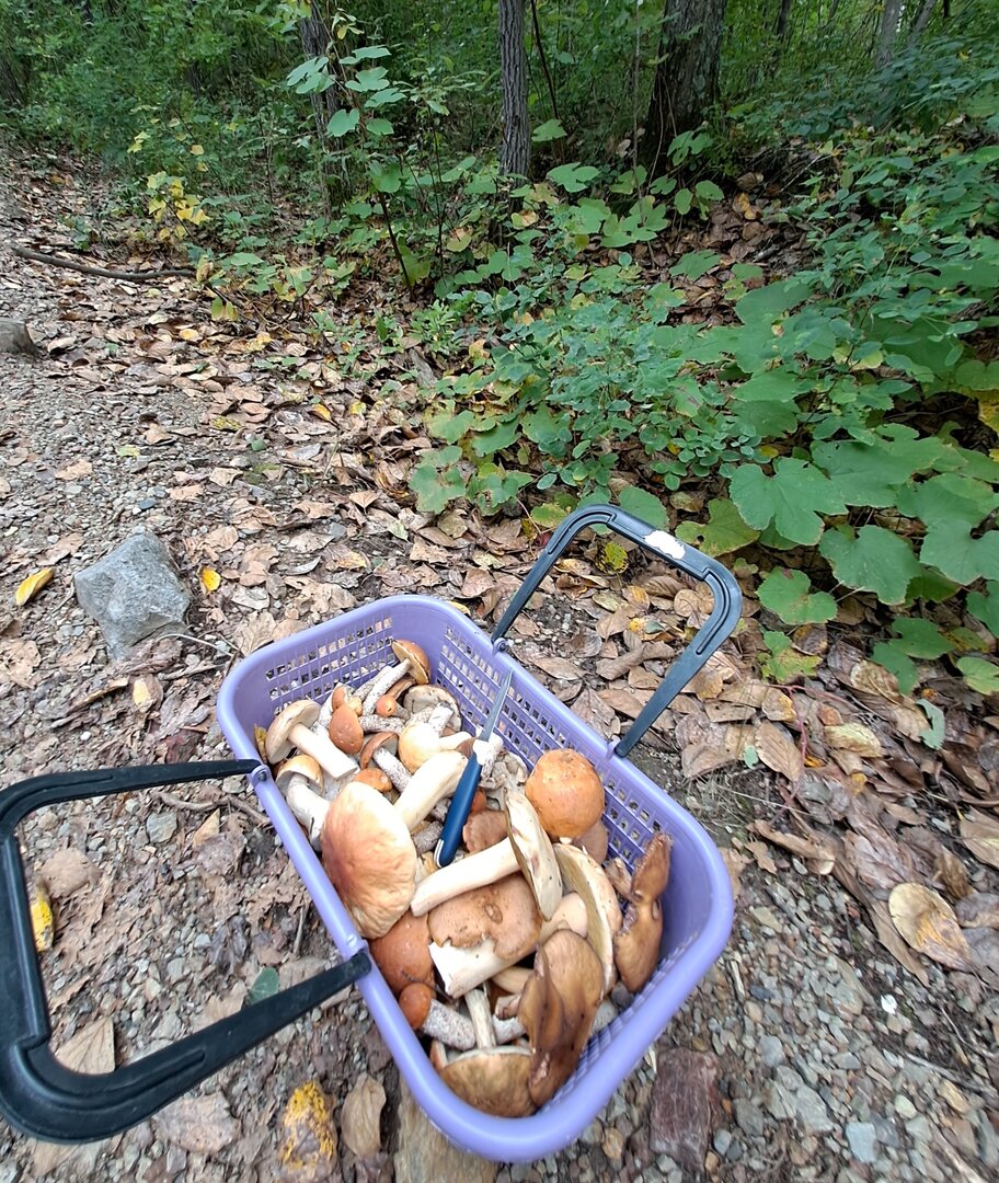 20250916_170859.jpg