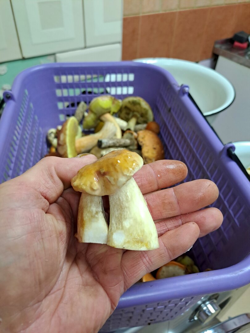 20250916_211508.jpg