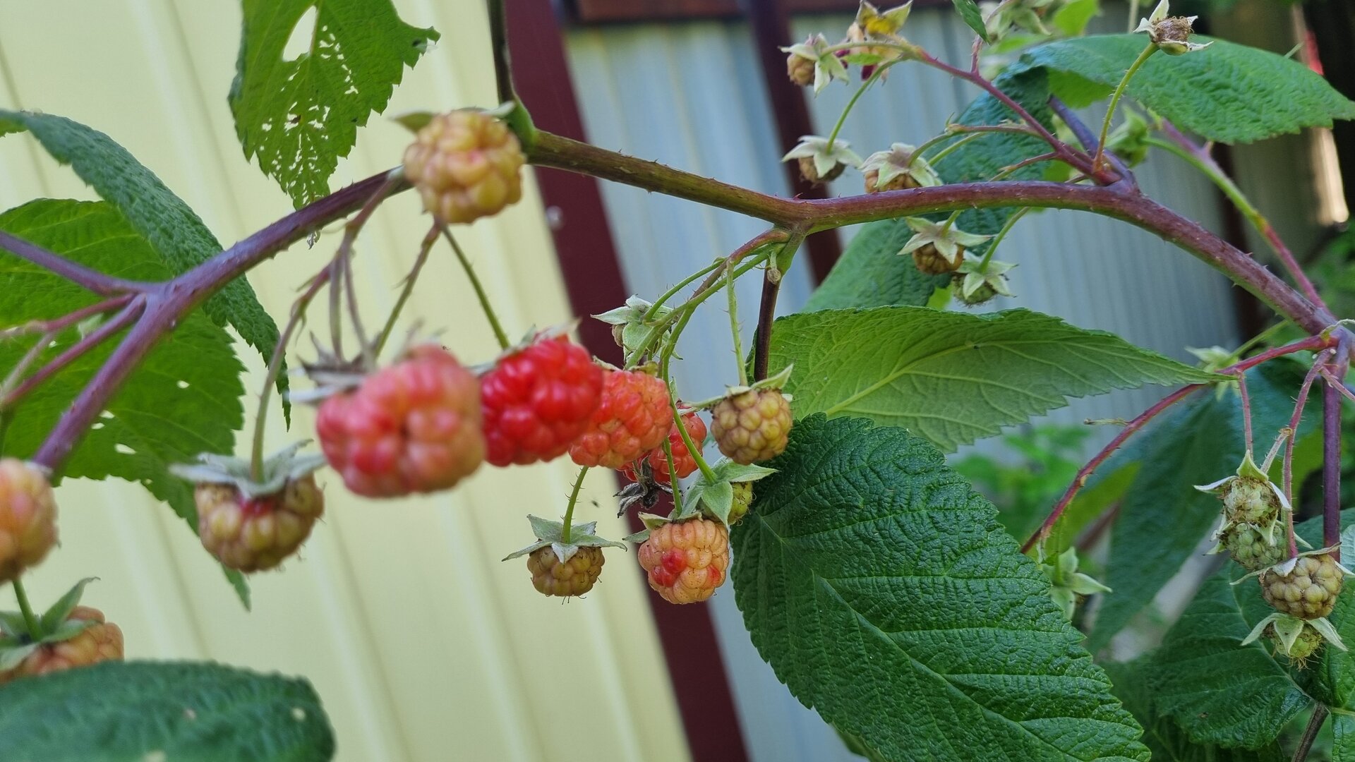 20250921_142518.jpg