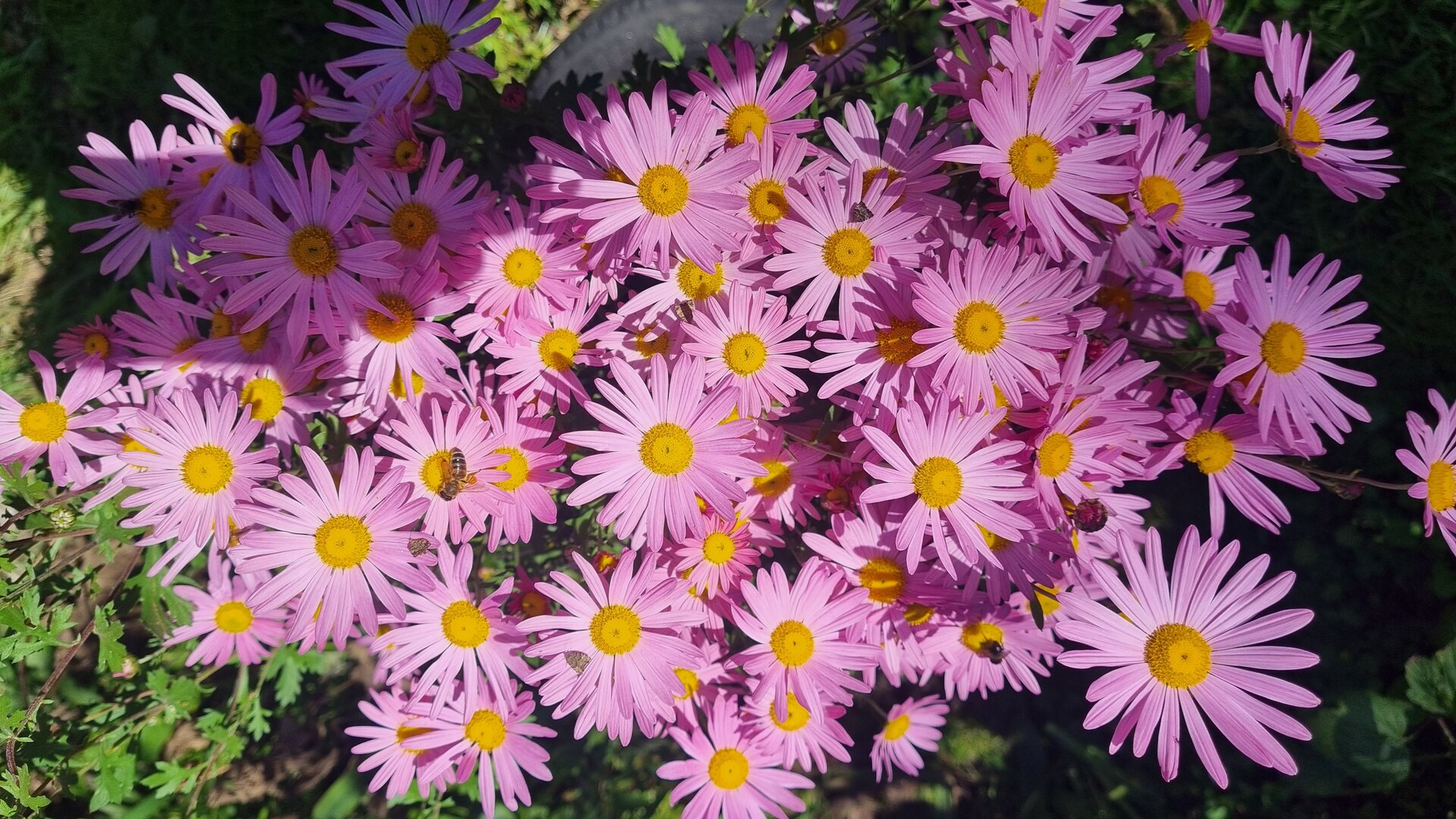 20250921_142802.jpg