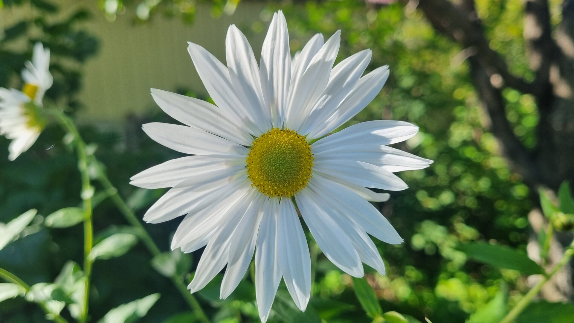 20250921_142809.jpg