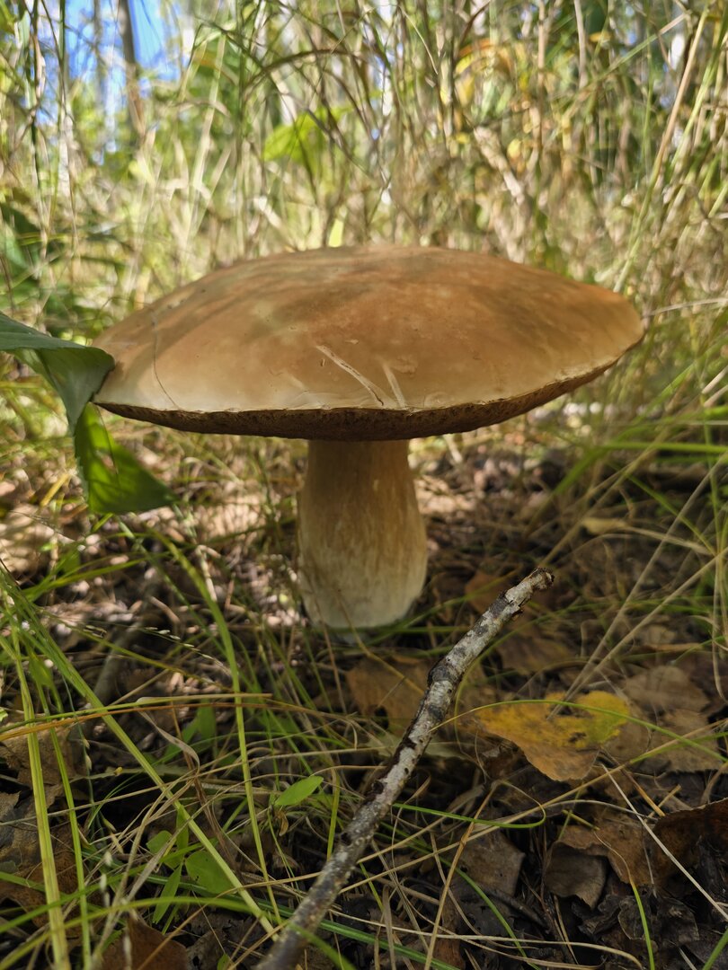20250921_145040.jpg