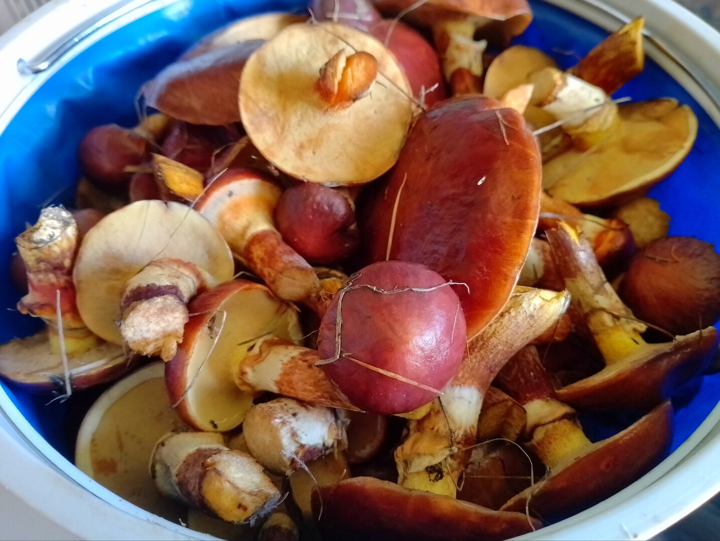 20250921_150139140.jpg
