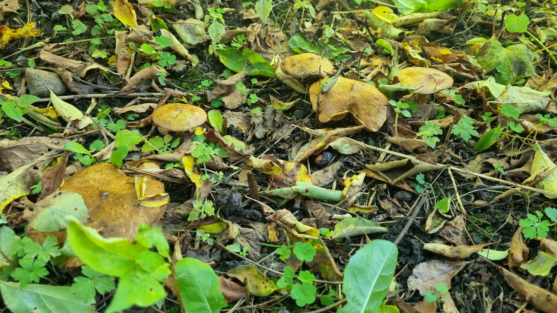 20250921_150946.jpg