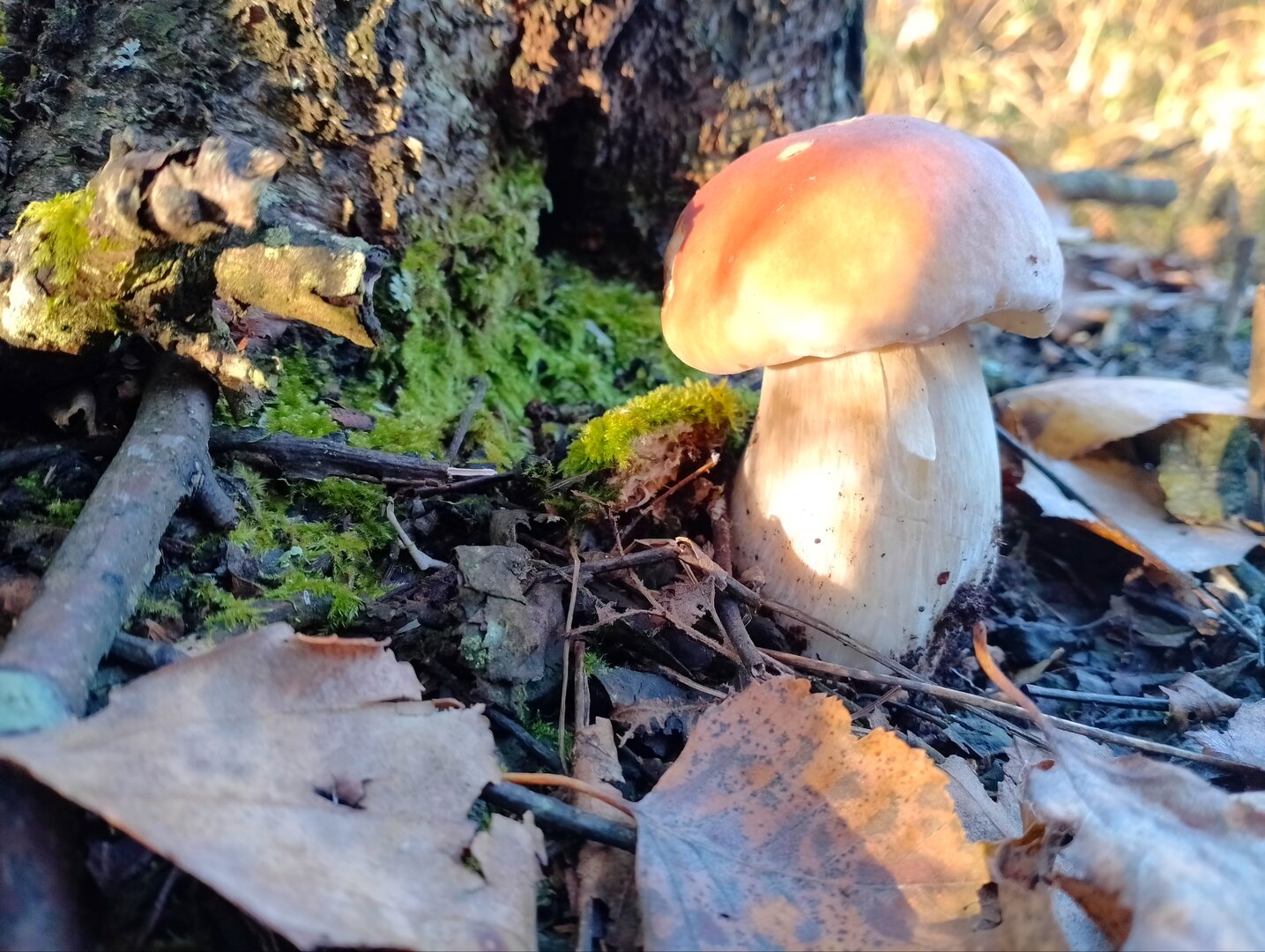 20250927_111711928.jpg