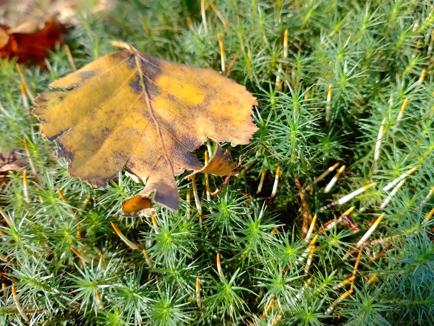 20250927_111823935.jpg