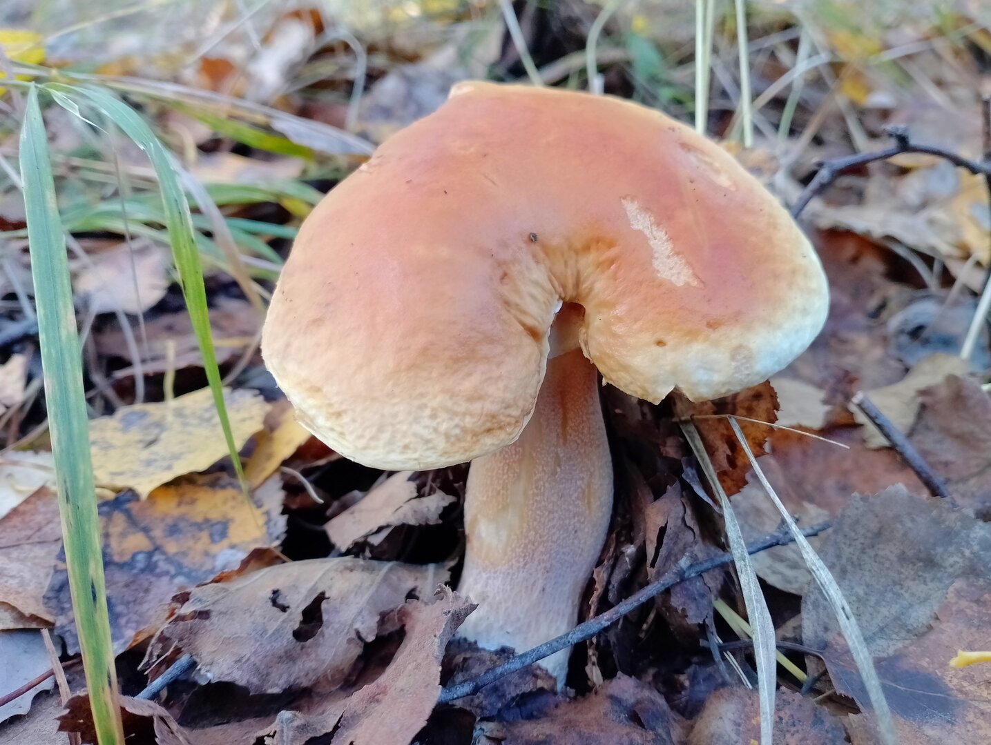 20250927_112534678.jpg