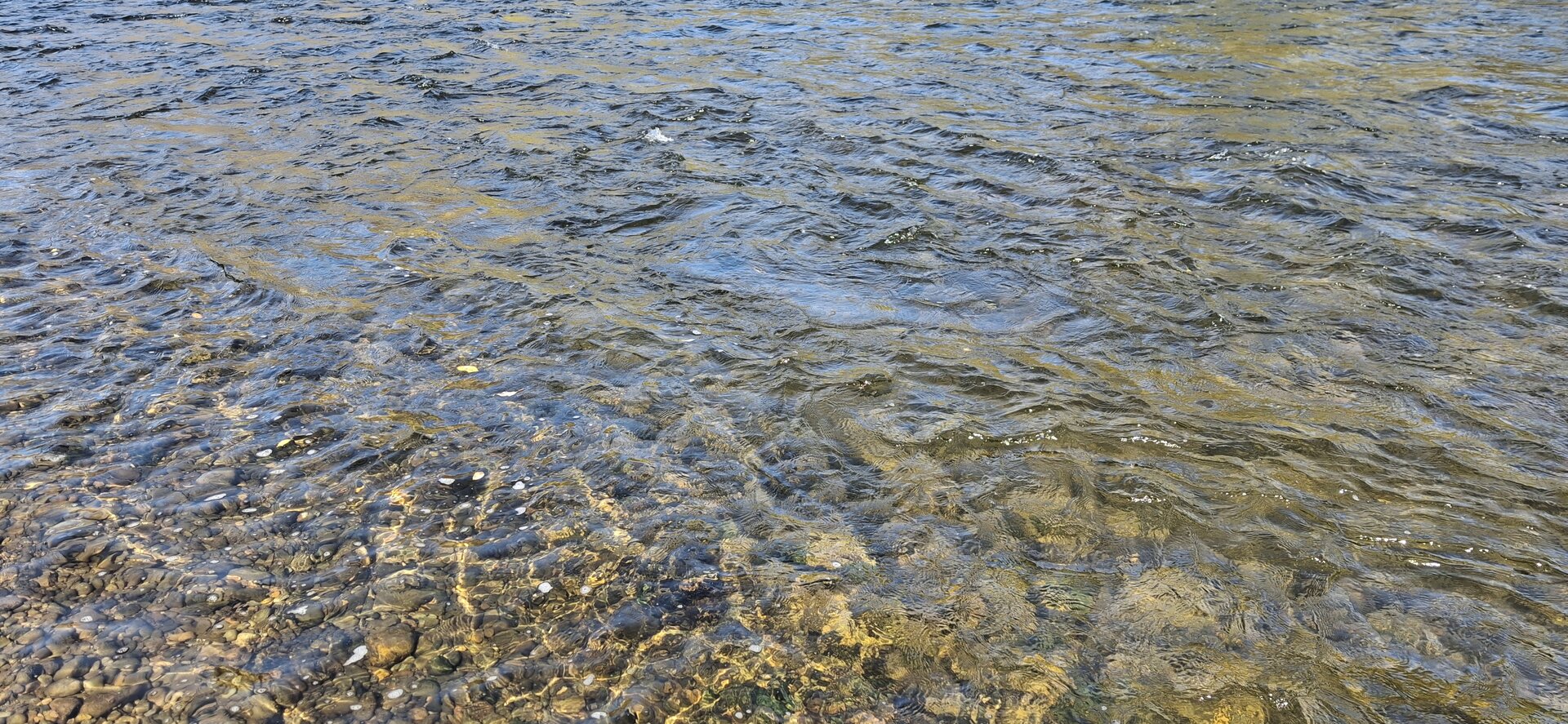20250928_115038.jpg