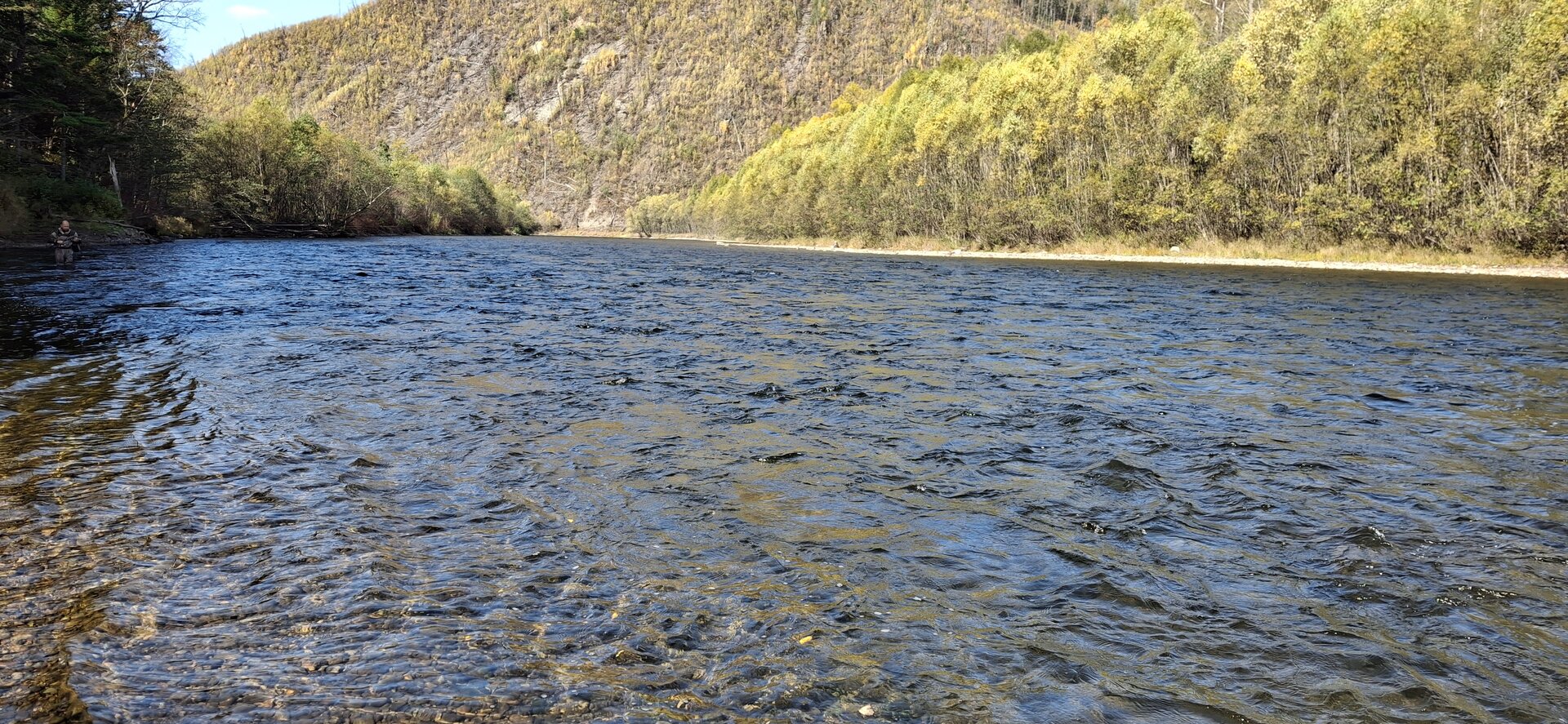 20250928_115042.jpg