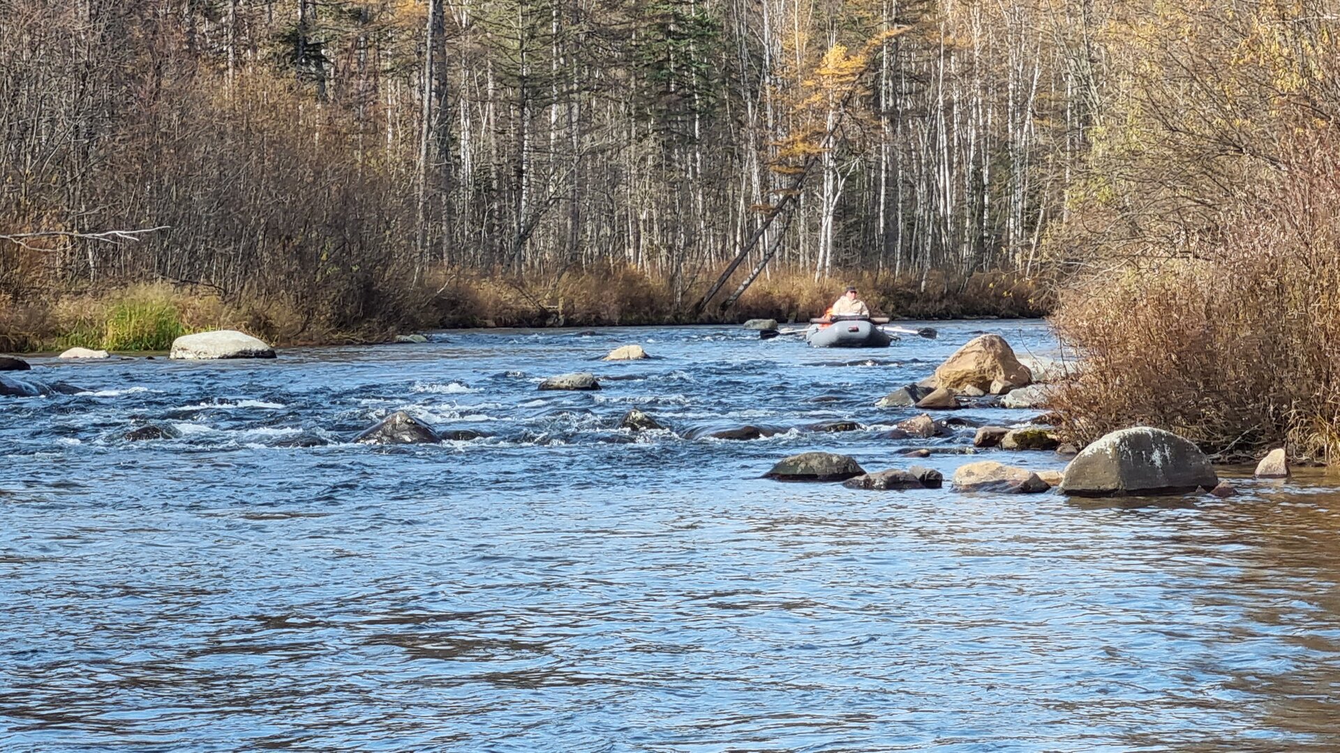 20251003_110941.jpg 20251003_110941.jpg