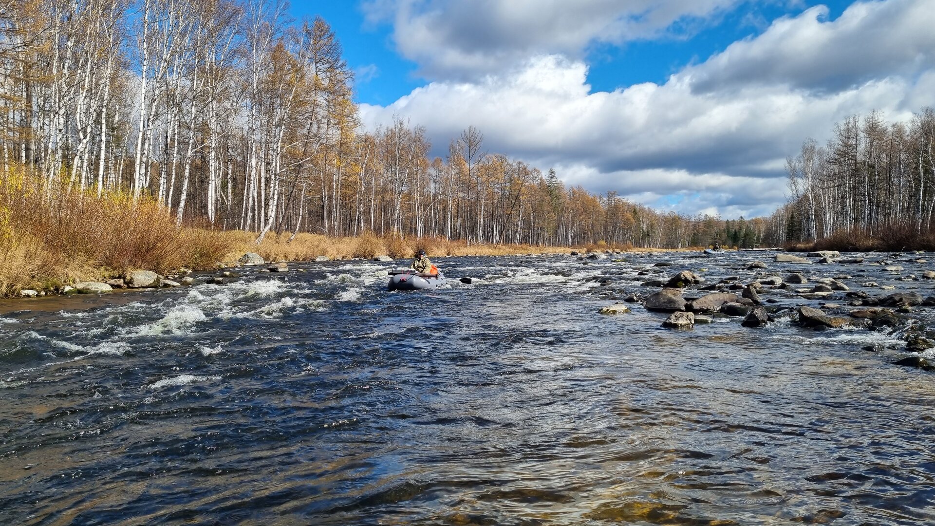 20251005_122853.jpg