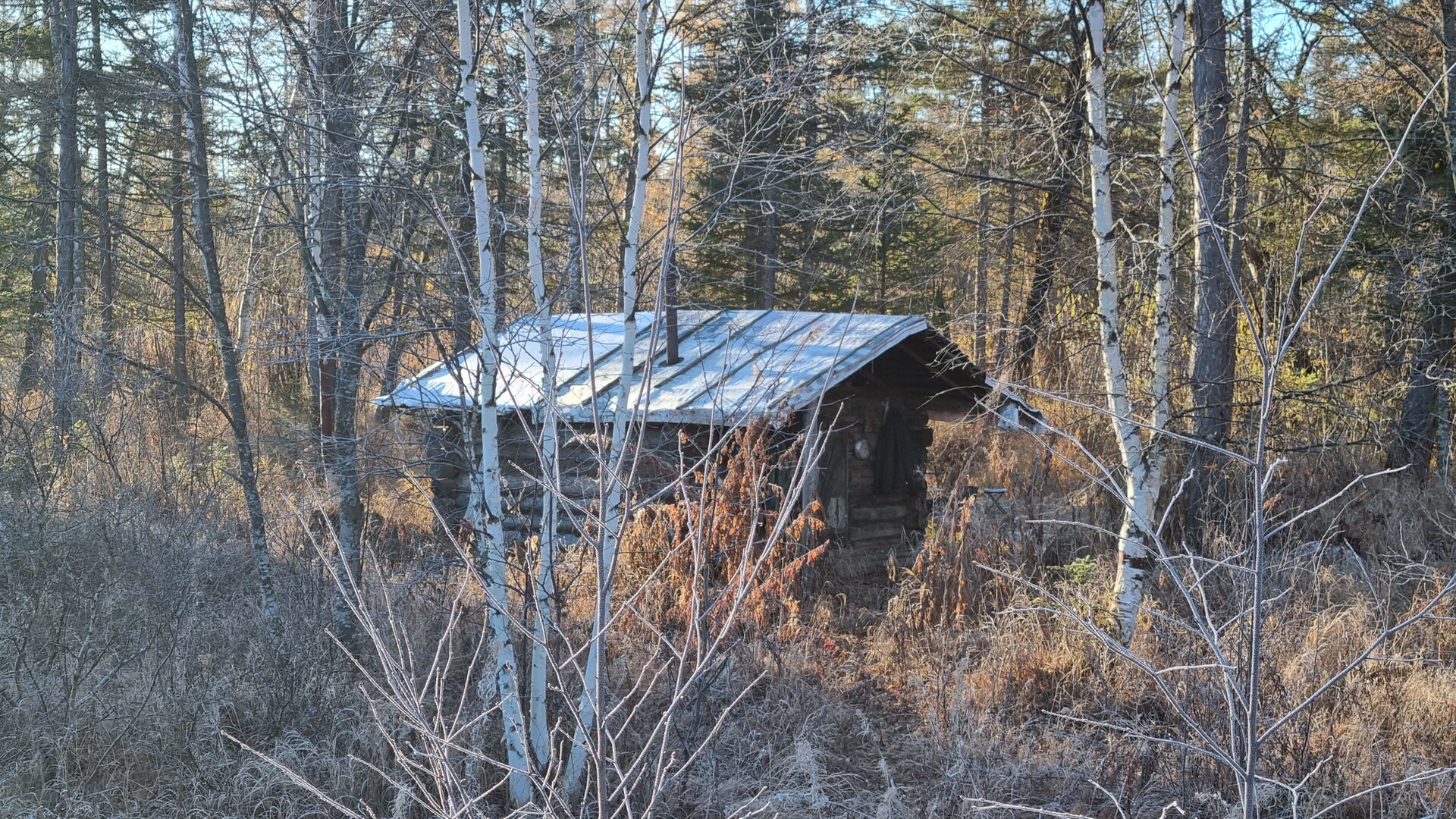20251006_083257.jpg