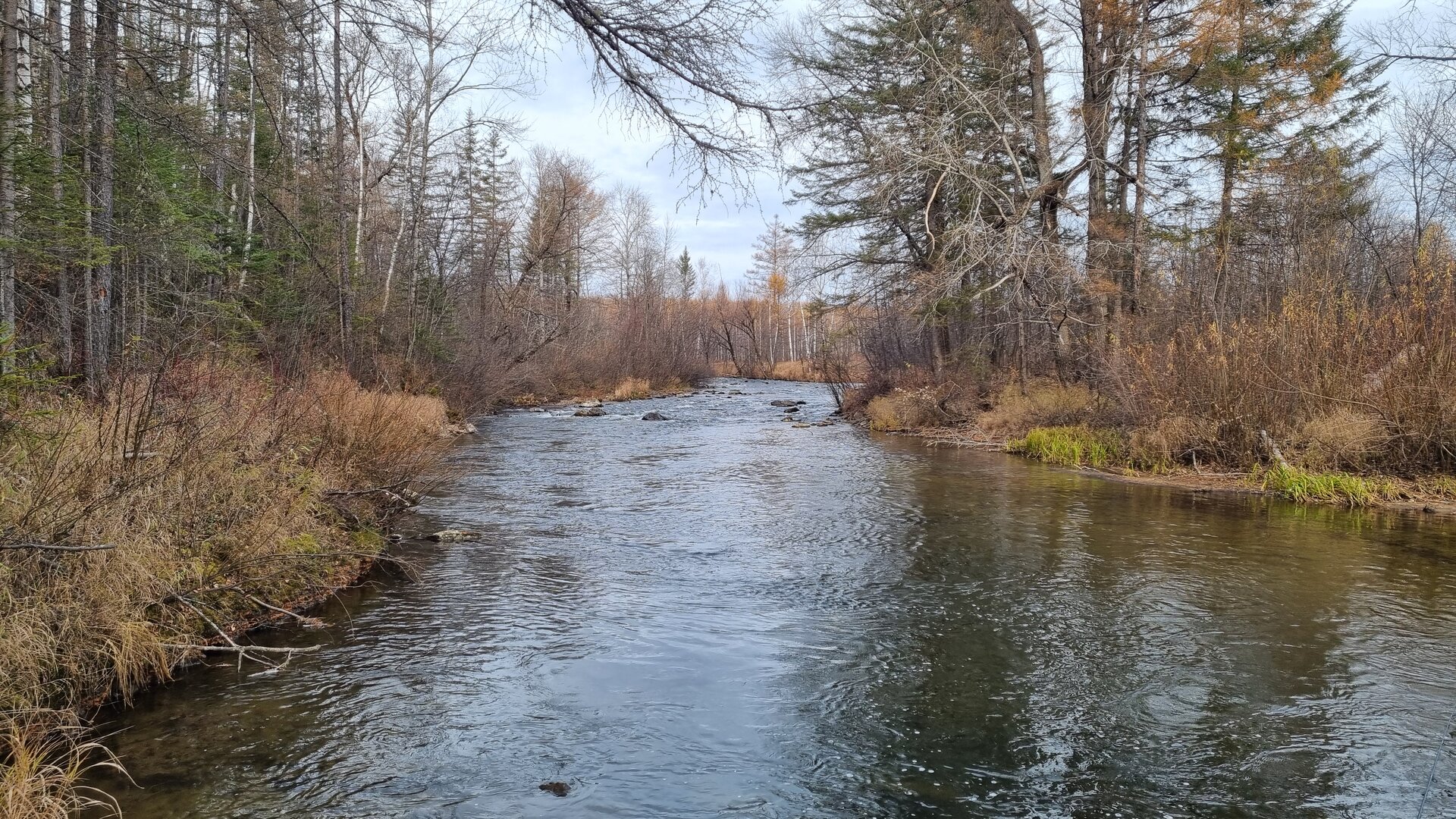 20251007_092845.jpg