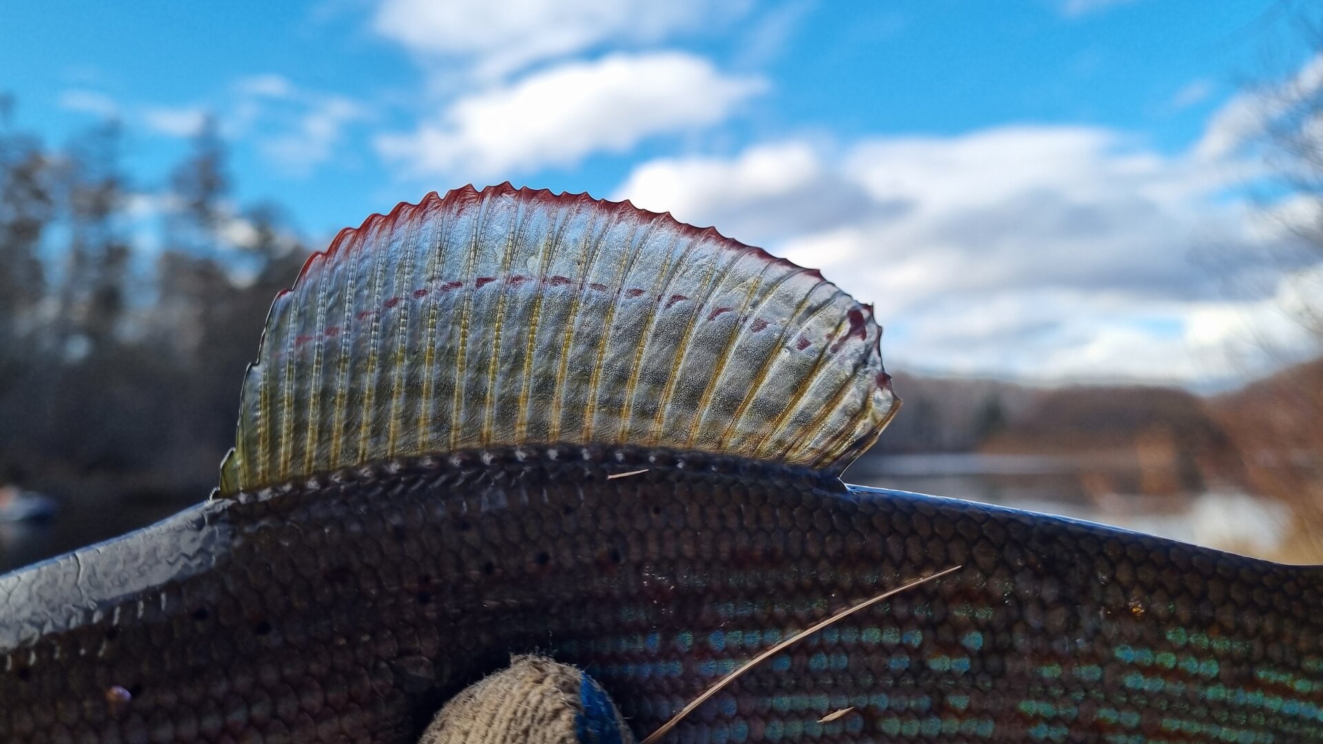 20251009_155553.jpg