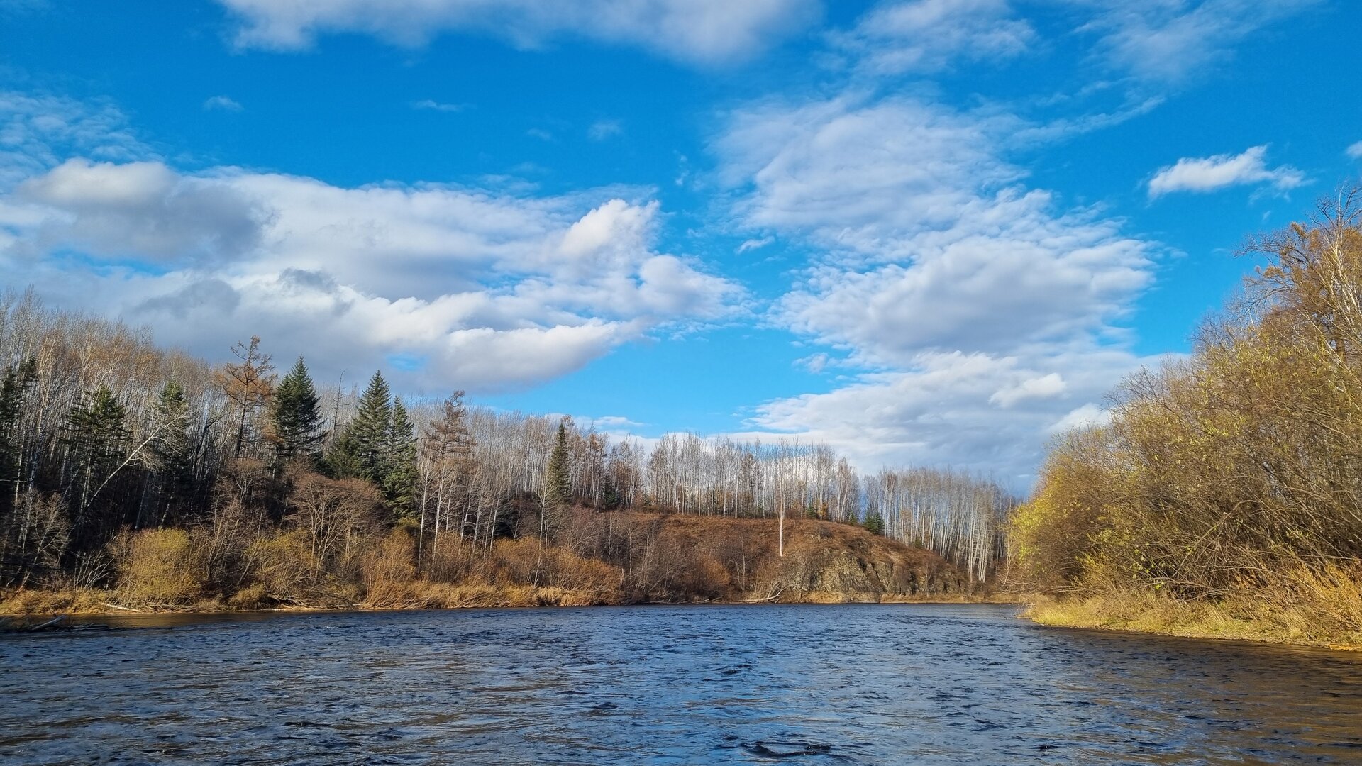 20251009_164824.jpg