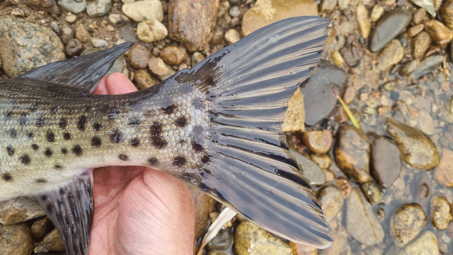 20251011_133831.jpg