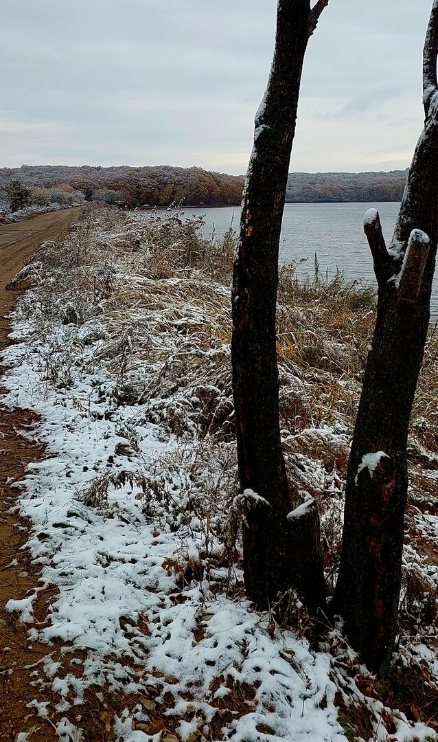 20251018_092116.jpg